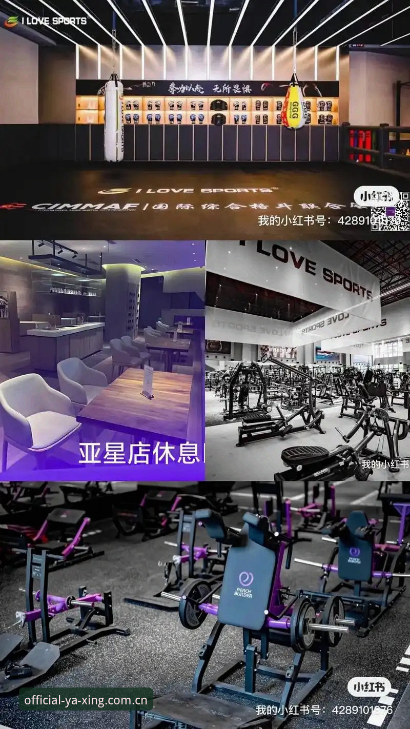 亚星官方正版 亚星官方正版平台技术评测:从安装到体验的完整流程解析