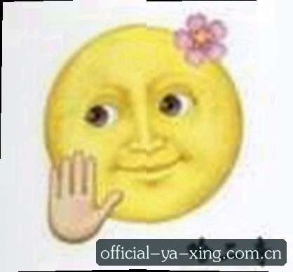 赵宇